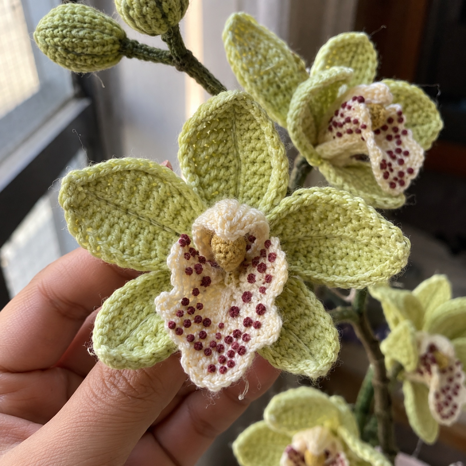 Close-up of an orchid lip with maroon French-knot speckles on the Cymbidium Orchid Stem
